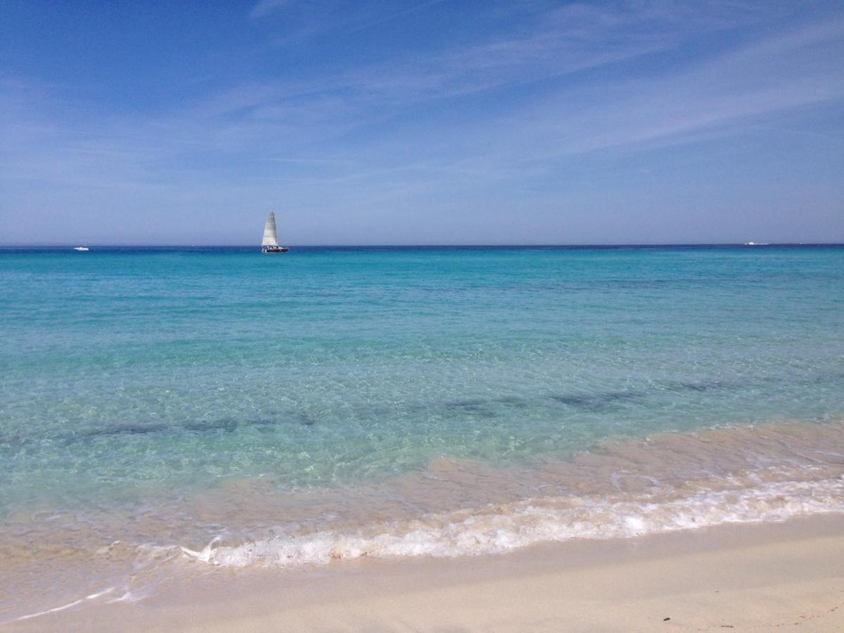 Domaine A Mortella T3 Saint-Florent  Bagian luar foto